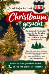 christbaum gesucht